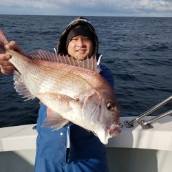 シーライオン 釣果