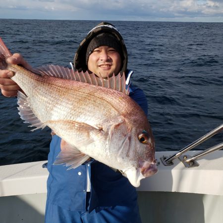 シーライオン 釣果