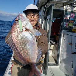 シーライオン 釣果