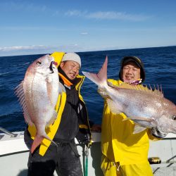 シーライオン 釣果