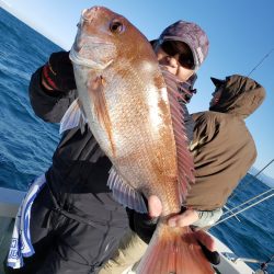 シーライオン 釣果