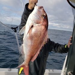 シーライオン 釣果