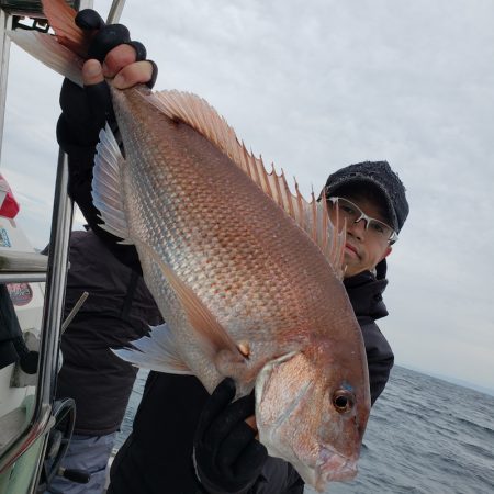 シーライオン 釣果