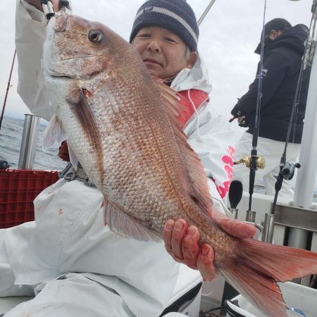 シーライオン 釣果