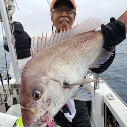 シーライオン 釣果