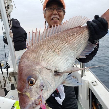 シーライオン 釣果