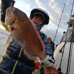 シーライオン 釣果