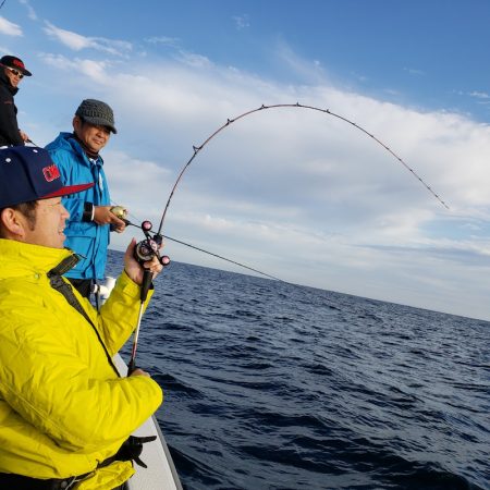 シーライオン 釣果