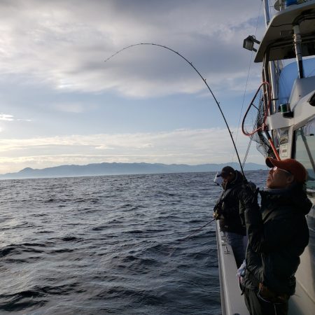 シーライオン 釣果