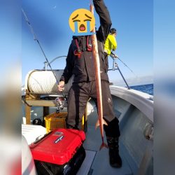 アマテラス 釣果