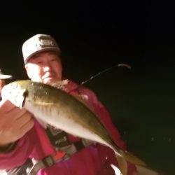 シーライオン 釣果