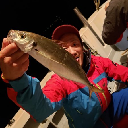 シーライオン 釣果