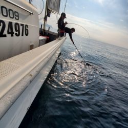 サンマリン 釣果