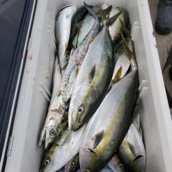 サンマリン 釣果