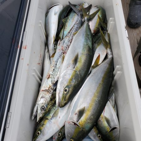 サンマリン 釣果