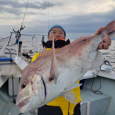 シーライオン 釣果