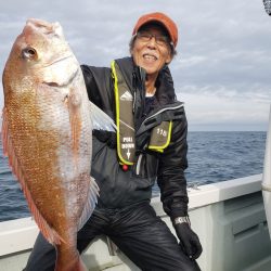 シーライオン 釣果