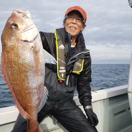 シーライオン 釣果