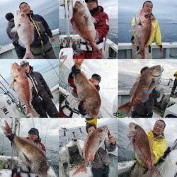 シーライオン 釣果