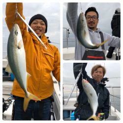 ビッグファイター 釣果