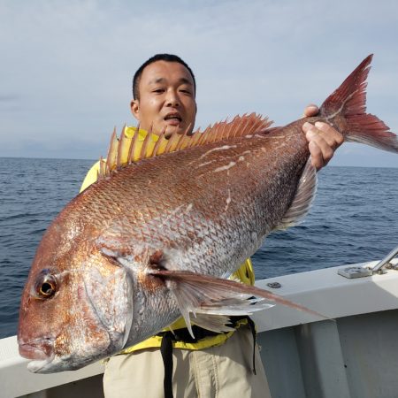 シーライオン 釣果