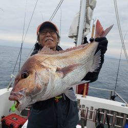 シーライオン 釣果