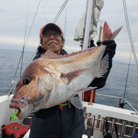 シーライオン 釣果