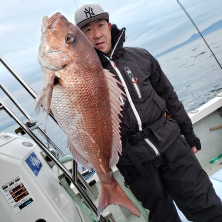 シーライオン 釣果