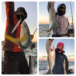 ビッグファイター 釣果