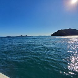 サンマリン 釣果