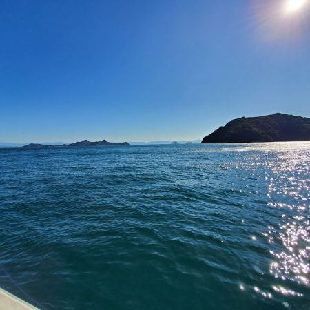 サンマリン 釣果