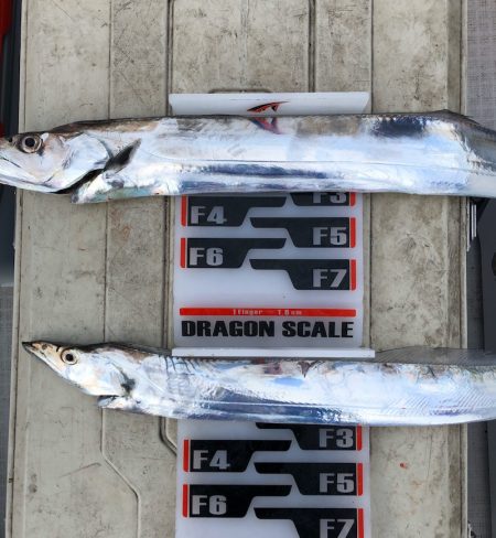 フィッシング キッタカ 釣果