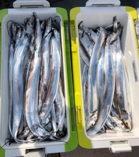 フィッシング キッタカ 釣果