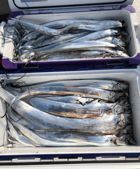 フィッシング キッタカ 釣果