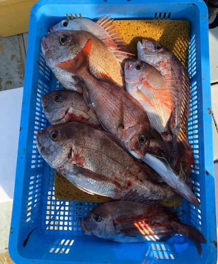 フィッシング キッタカ 釣果