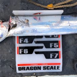 フィッシング キッタカ 釣果