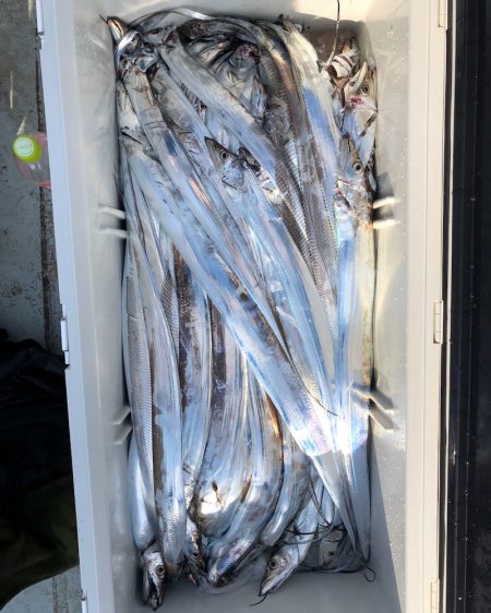 フィッシング キッタカ 釣果