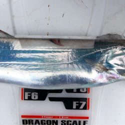 フィッシング キッタカ 釣果