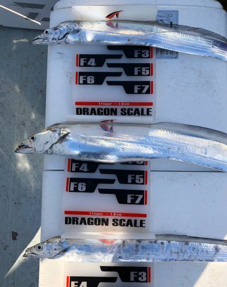 フィッシング キッタカ 釣果