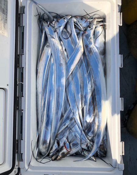 フィッシング キッタカ 釣果