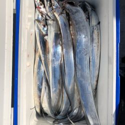 フィッシング キッタカ 釣果