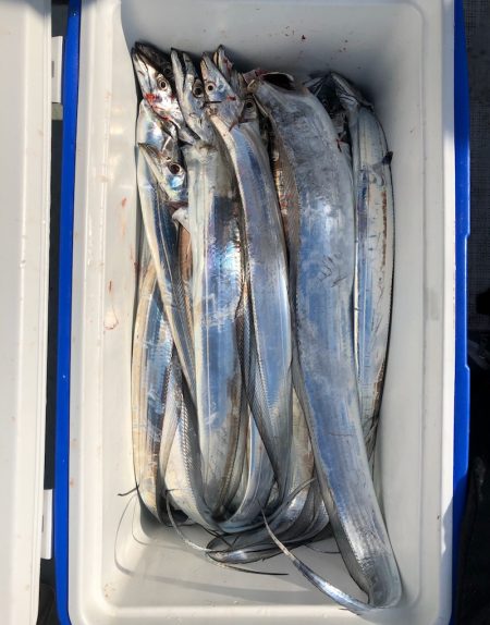 フィッシング キッタカ 釣果