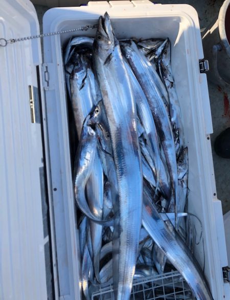 フィッシング キッタカ 釣果