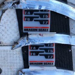 フィッシング　キッタカ 釣果