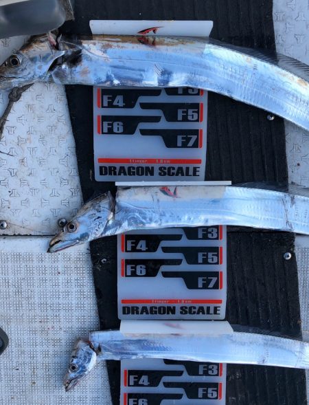 フィッシング　キッタカ 釣果