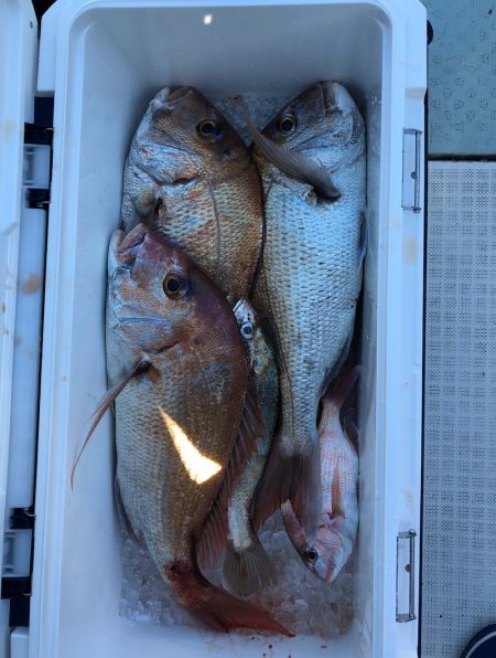 フィッシング キッタカ 釣果