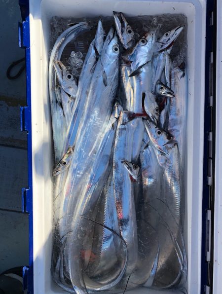 フィッシング キッタカ 釣果