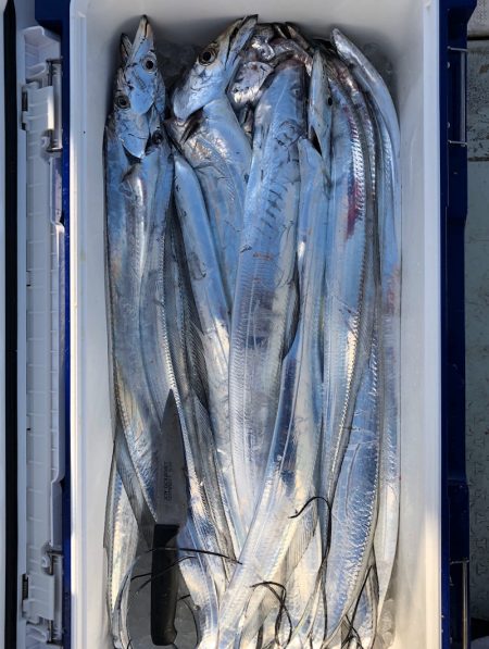 フィッシング　キッタカ 釣果