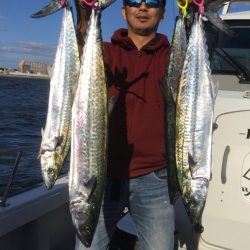 ビッグファイター 釣果