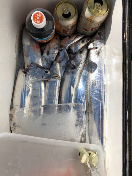 フィッシング キッタカ 釣果